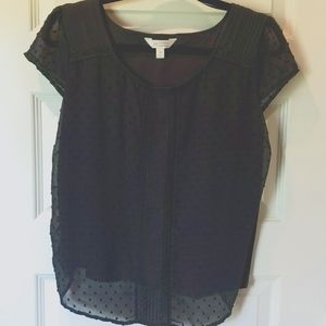 Lauren Conrad Muted Navy Blue Top